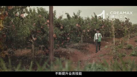 云南农业银行-行长汇报片